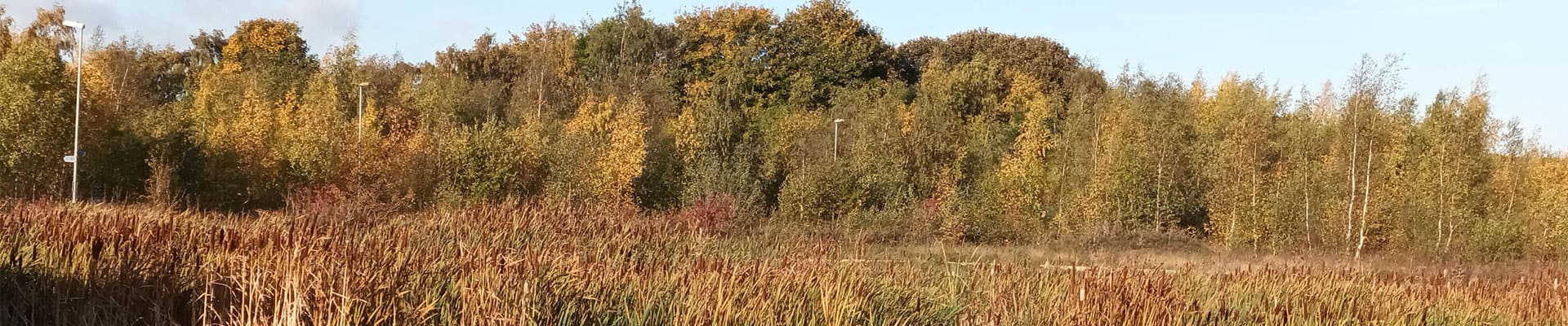 We are a community volunteer group supporting the management of our local green space for the benefit of the community.