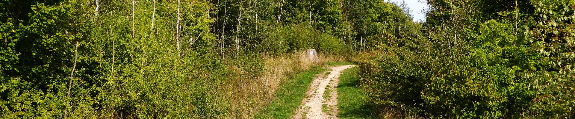 We are a community volunteer group supporting the management of our local green space for the benefit of the community.