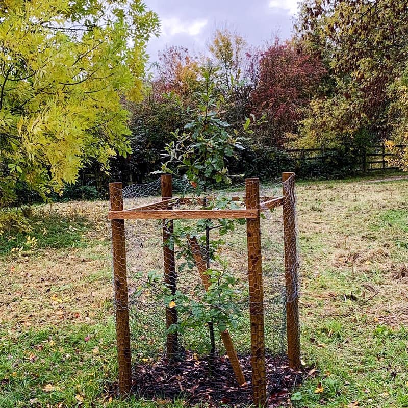 We are a community volunteer group supporting the management of our local green space for the benefit of the community.